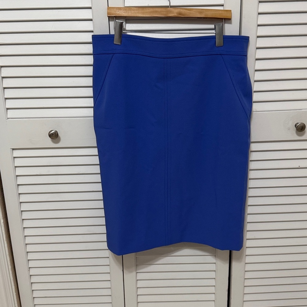Ann Taylor Cobalt Blue Skirt